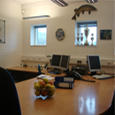 Hvide Sande Ormeeksports kontor